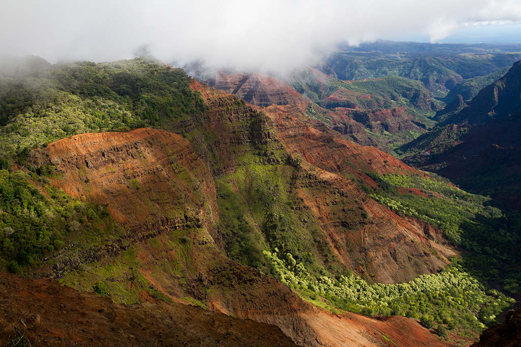 Kauai - 017.jpg